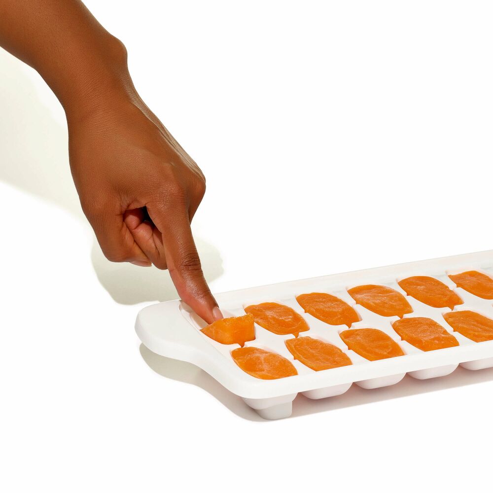 Baby Food Freezer Tray Set R9
