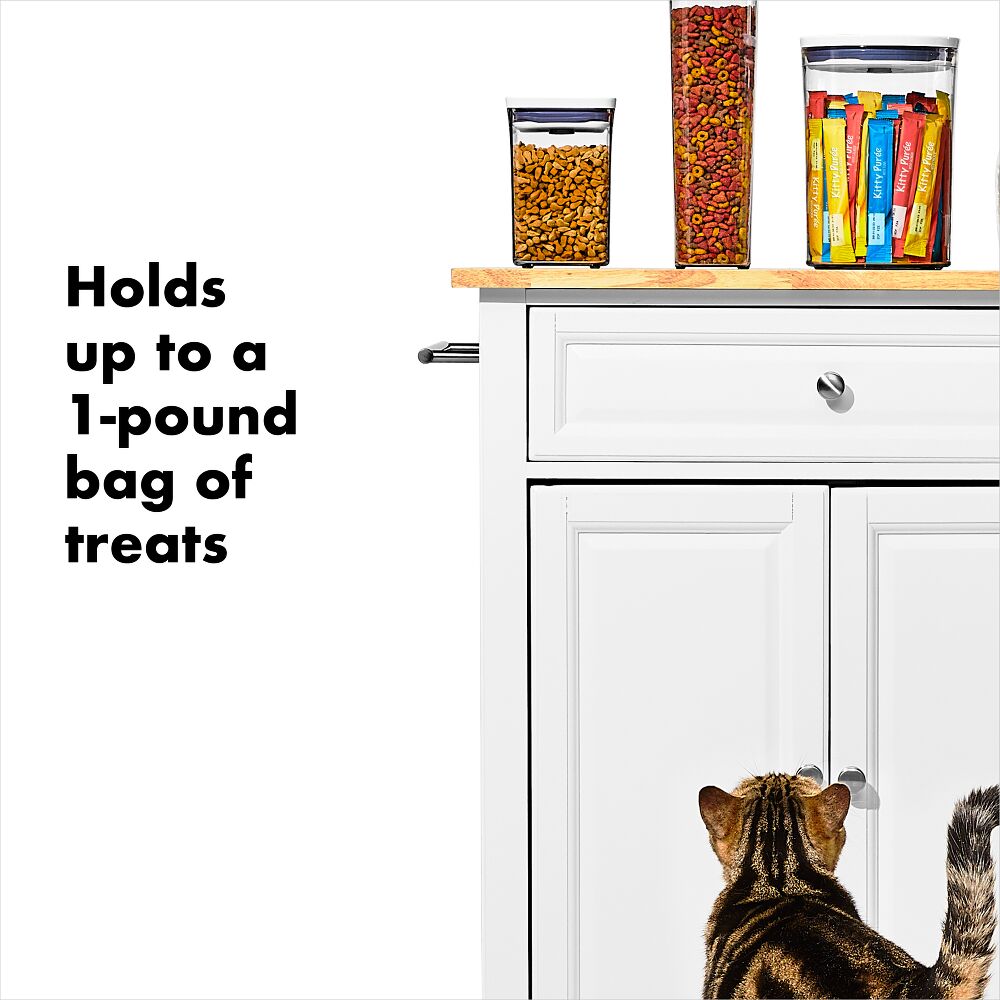 OXO Good Grips Pet POP Container – 1.1 Qt/1 L O2