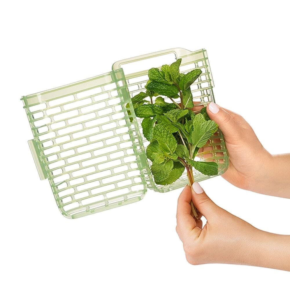 GreenSaver Herb Keeper - Small C3