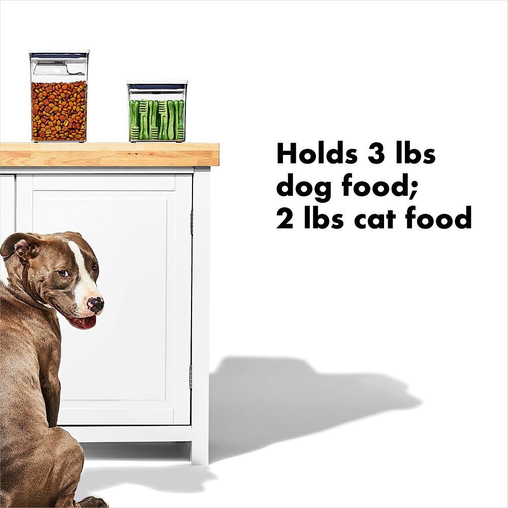 OXO Good Grips Pet POP Container – 2.8 Qt/2.6 L E4
