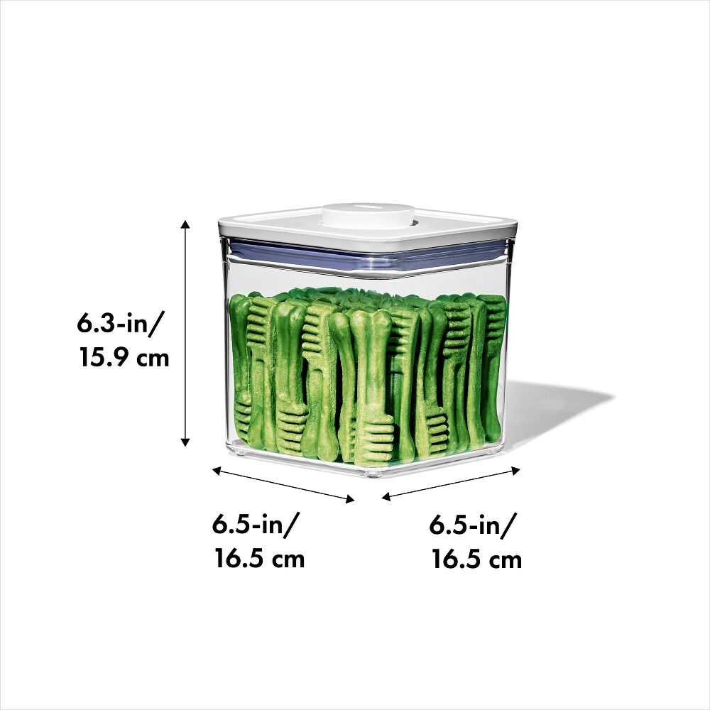 OXO Good Grips Pet POP Container – 2.8 Qt/2.6 L R8