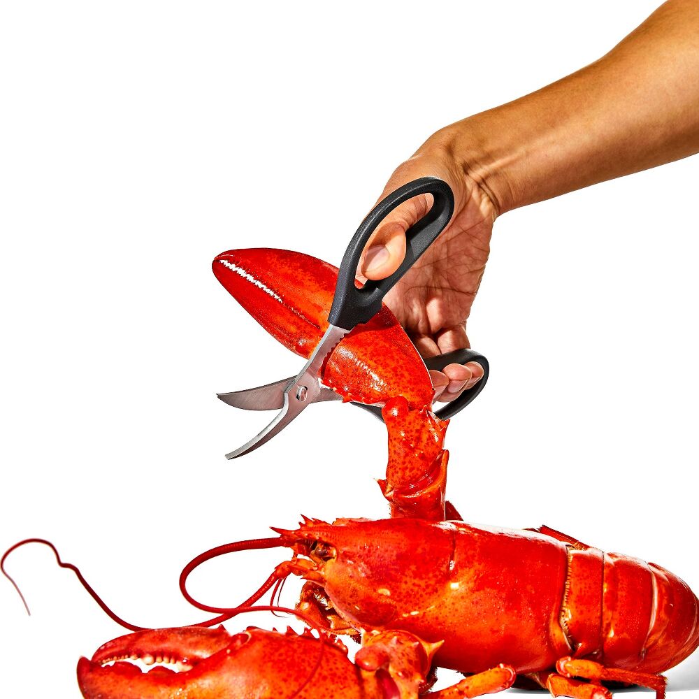 Seafood Scissors Q3