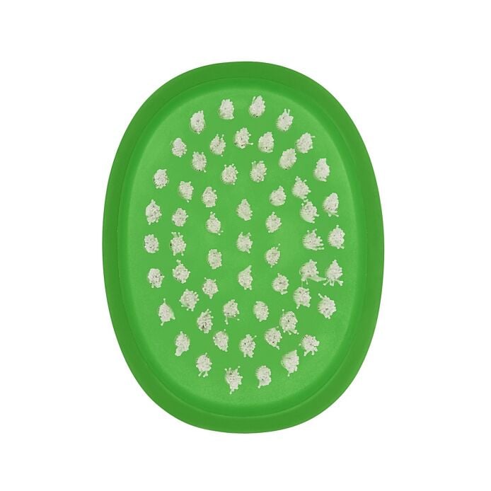Vegetable Brush B2