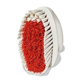 All-Purpose Scrub Brush 2-Pack J2