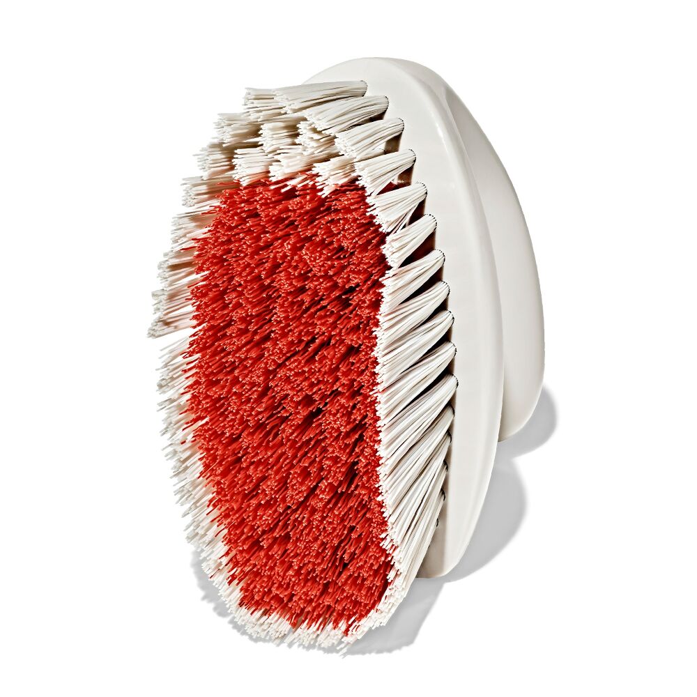 All-Purpose Scrub Brush 2-Pack J2