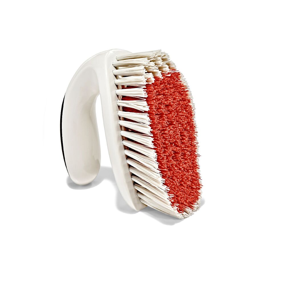 All-Purpose Scrub Brush 2-Pack J2