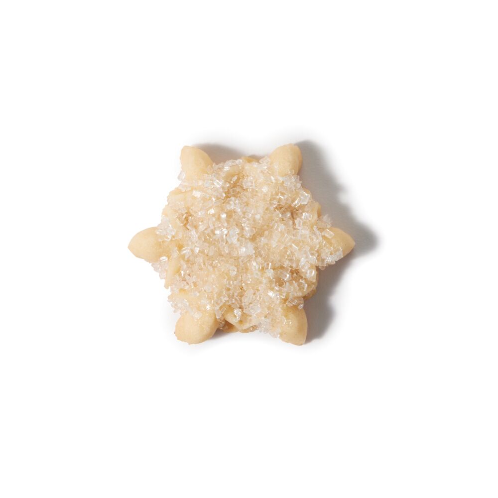 Christmas Cookie Press Disk Set G2