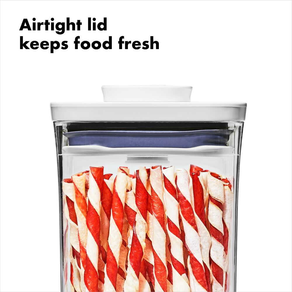OXO Good Grips Pet POP Container – 1.1 Qt/1 L O2