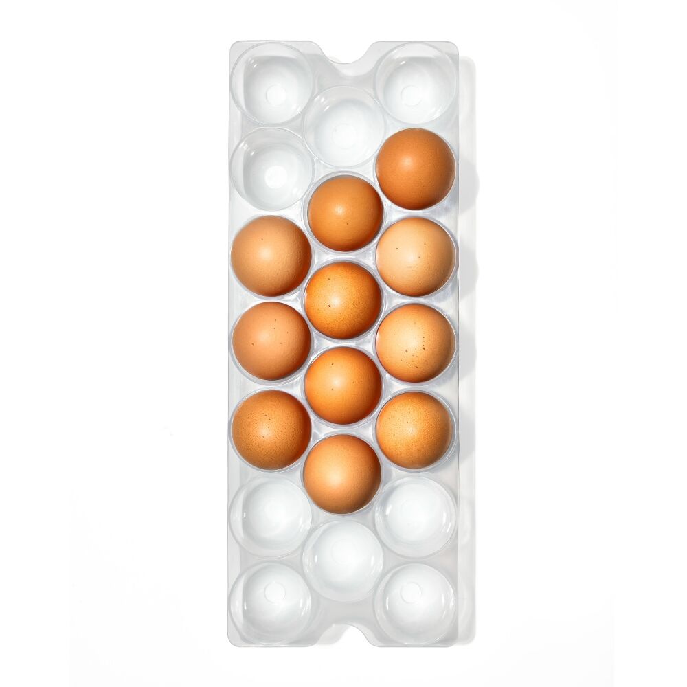 Refrigerator Egg Bin With Removable Tray I1