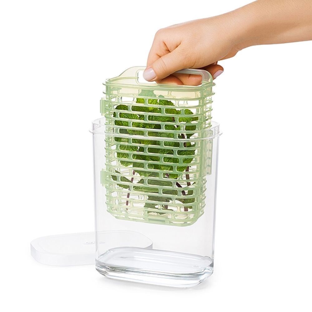 GreenSaver Herb Keeper - Small C3