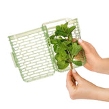 GreenSaver Herb Keeper - Small C3