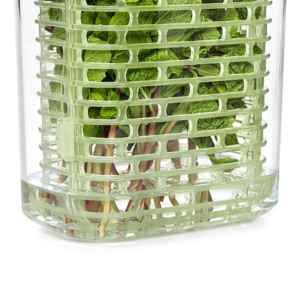 GreenSaver Herb Keeper - Small C3