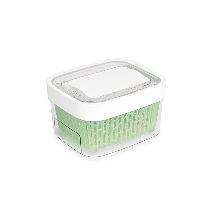 GreenSaver Produce Keeper (1.6 Qt) V5