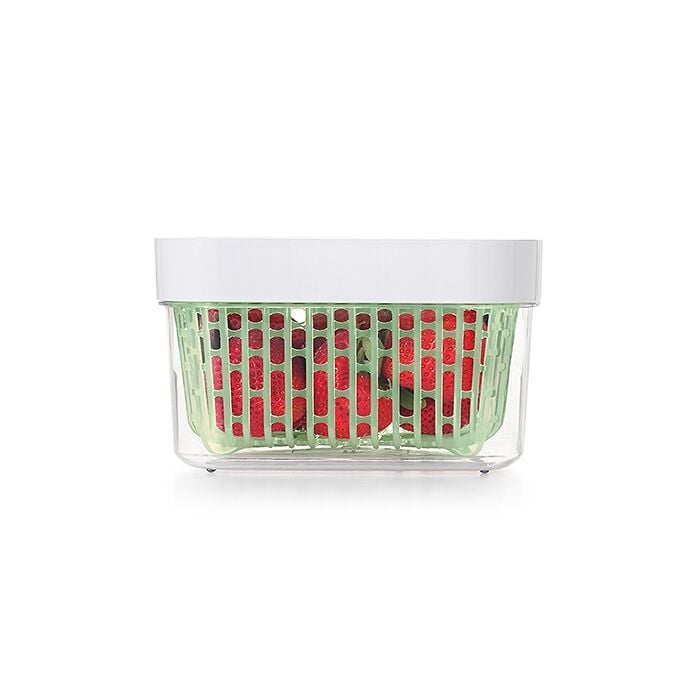 GreenSaver Produce Keeper (1.6 Qt) V5