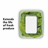 GreenSaver Produce Keeper (4.3 Qt) B9