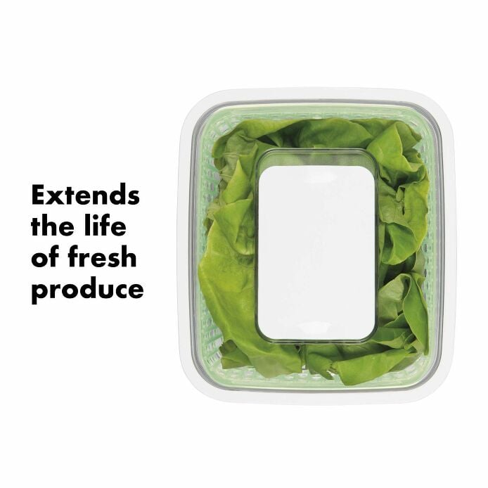 GreenSaver Produce Keeper (4.3 Qt) B9