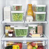 GreenSaver Produce Keeper (4.3 Qt) B9