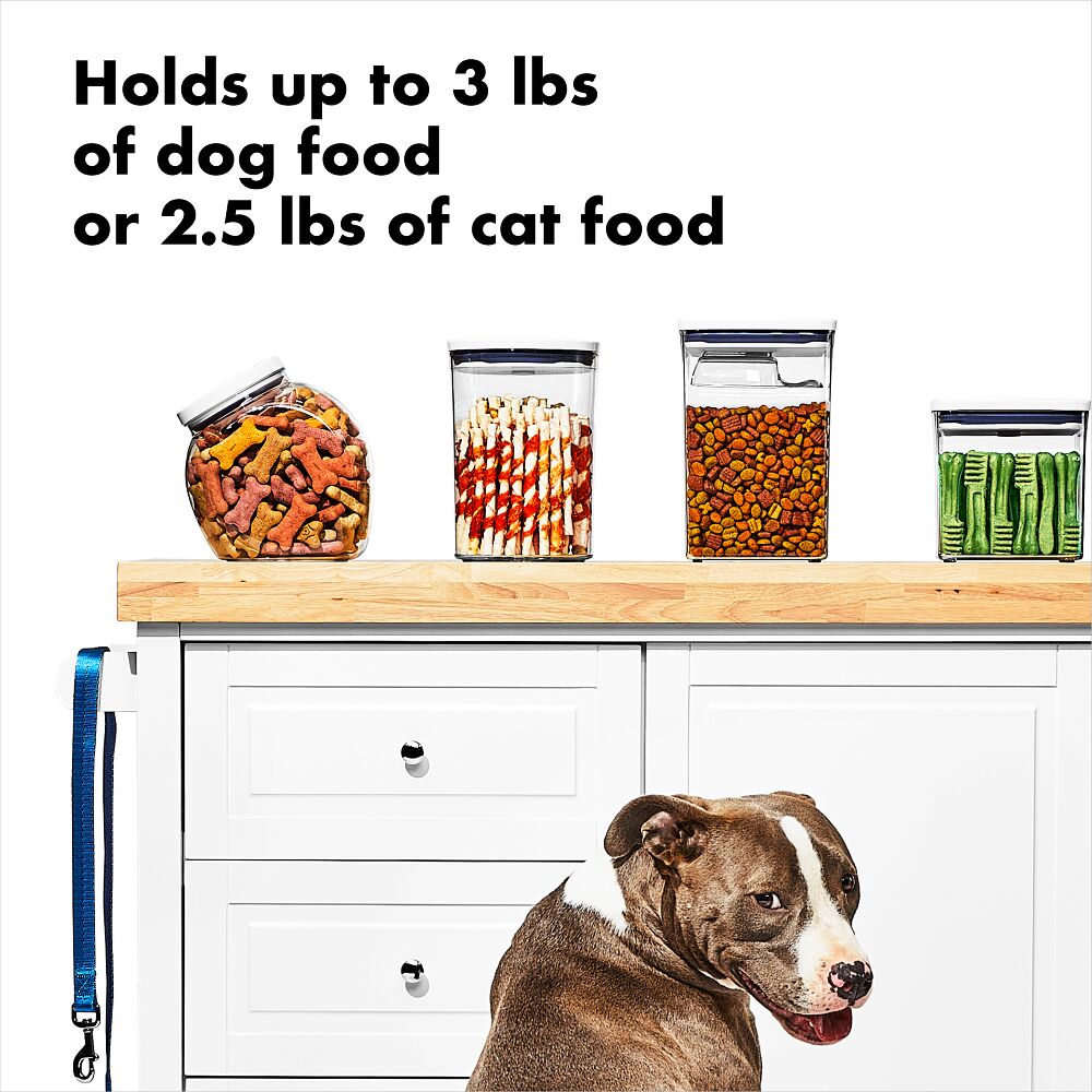 OXO Good Grips Pet POP Container – 3.3 Qt/3.1 L R8