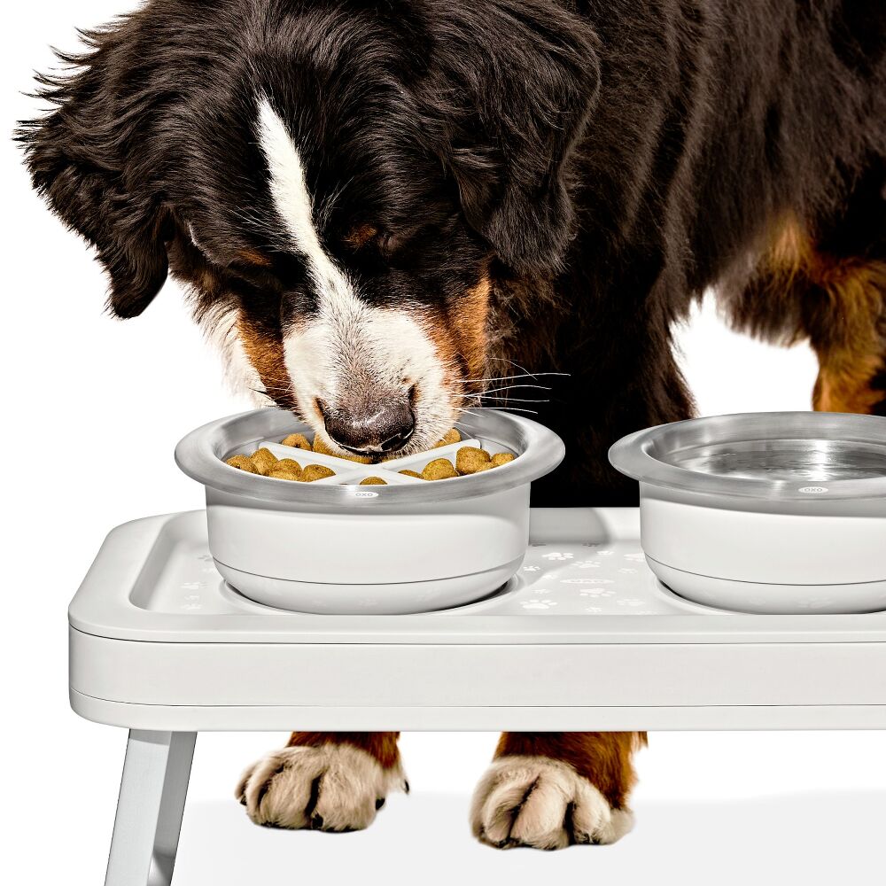 OXO Pet Easy-Clean Slow Feeder - Medium, 2 Cups/489 mL M8