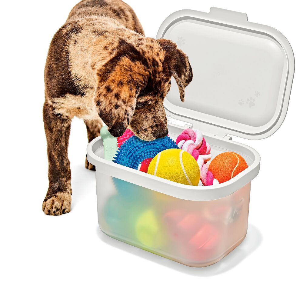 OXO Pet Multi-Purpose Container W9