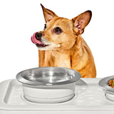 OXO Pet Nonslip Bowl - Medium, 2 Cups / 480 mL Z5