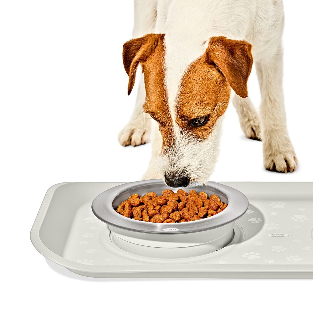 OXO Pet Nonslip Bowl - Small, 1 Cup / 240 mL B7