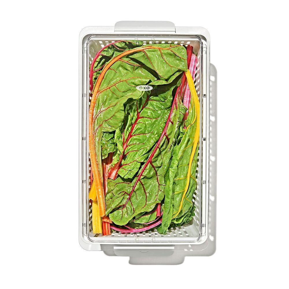 Produce Saver - Large Bin H6
