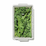 Produce Saver - Medium Bin W3