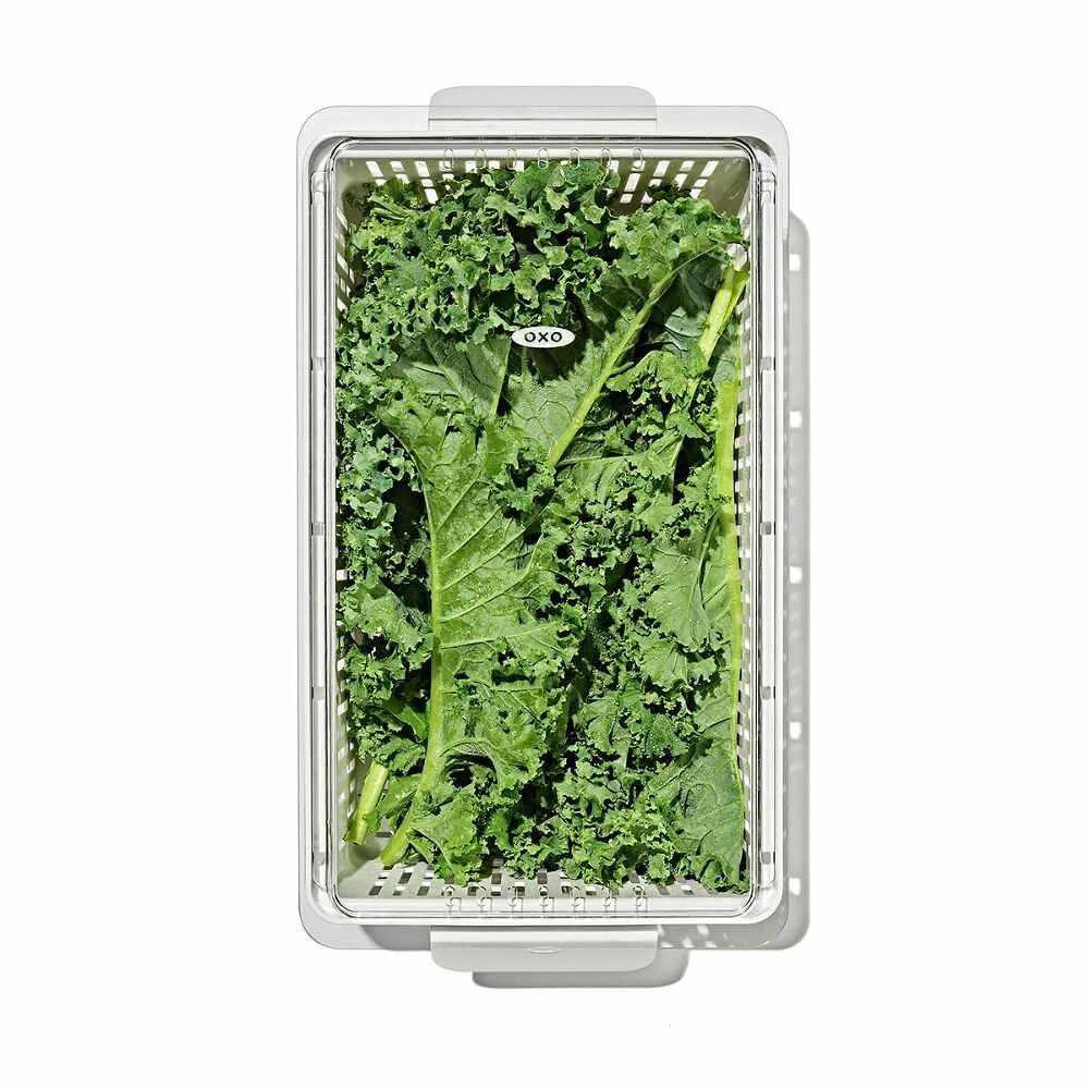 Produce Saver - Medium Bin W3