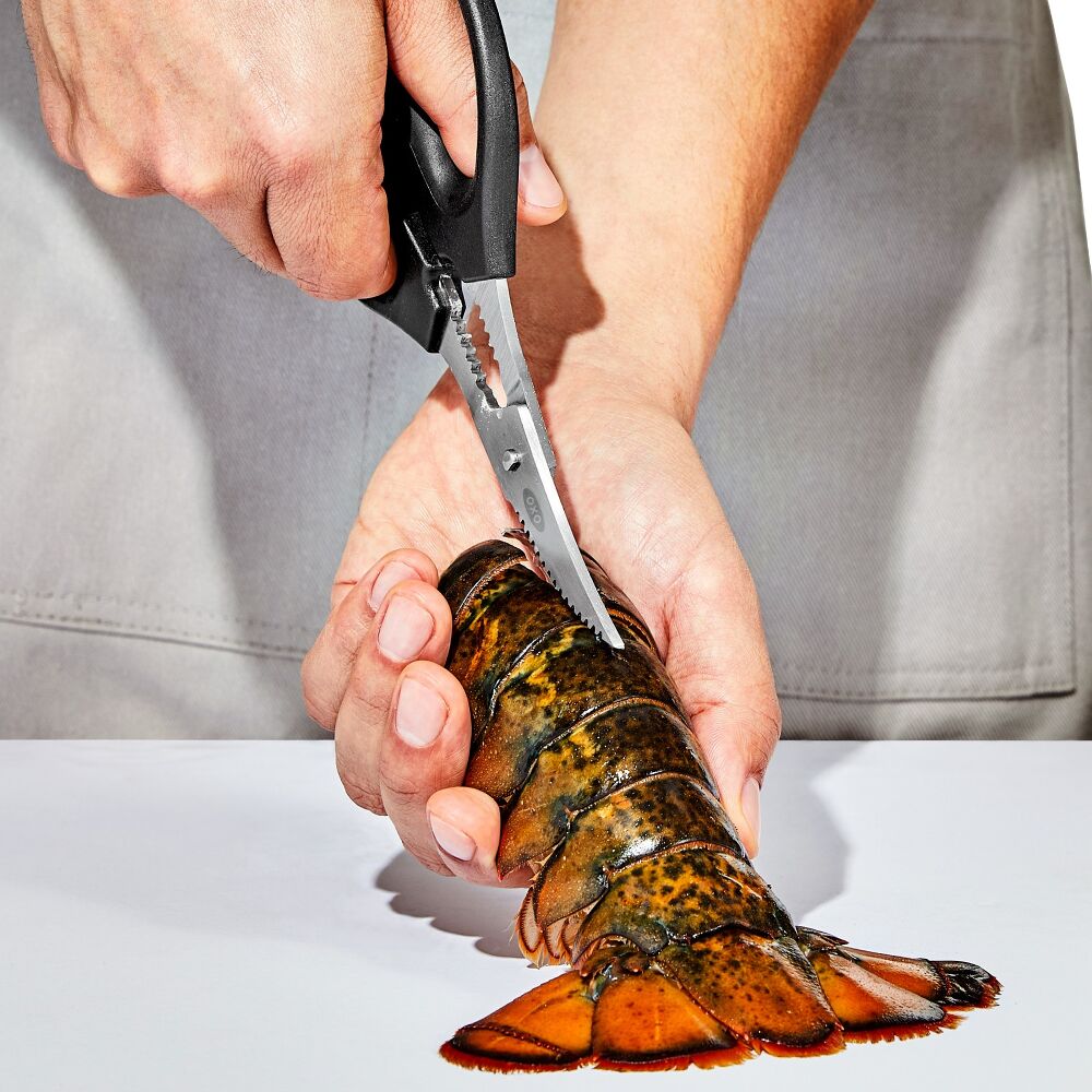 Seafood Scissors Q3
