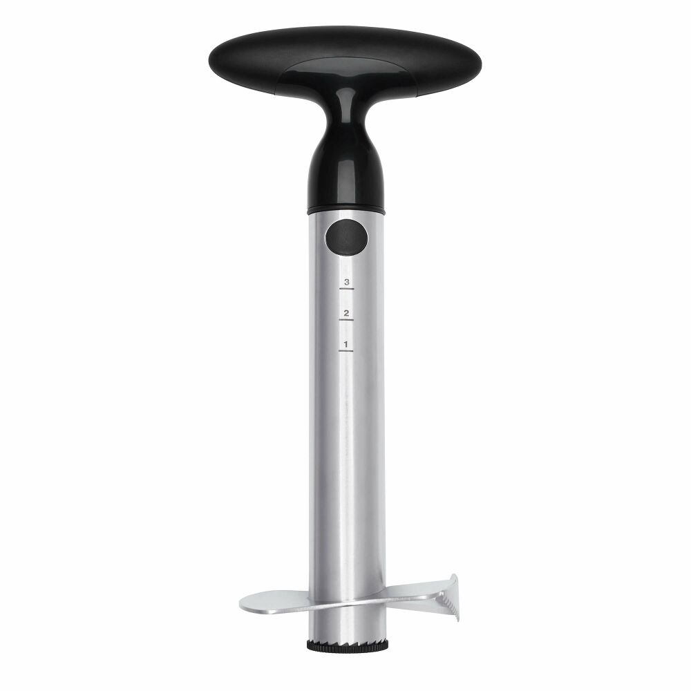 Stainless Steel Pineapple Slicer R4