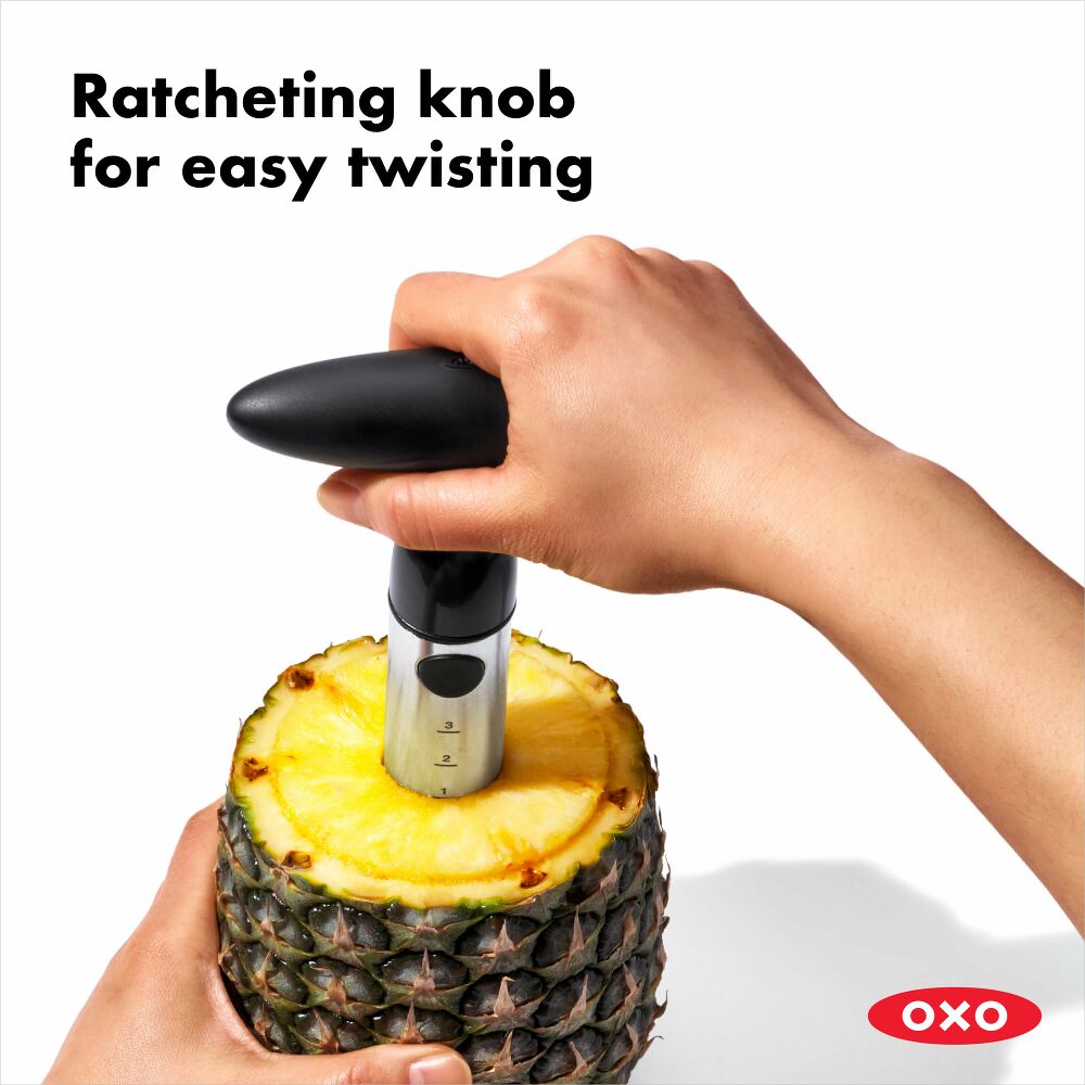 Stainless Steel Pineapple Slicer R4