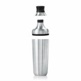 Steel Single Wall Cocktail Shaker R2