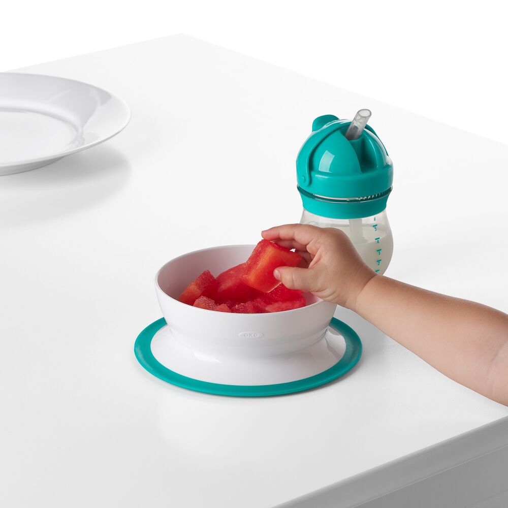 Stick & Stay Suction Bowl E8