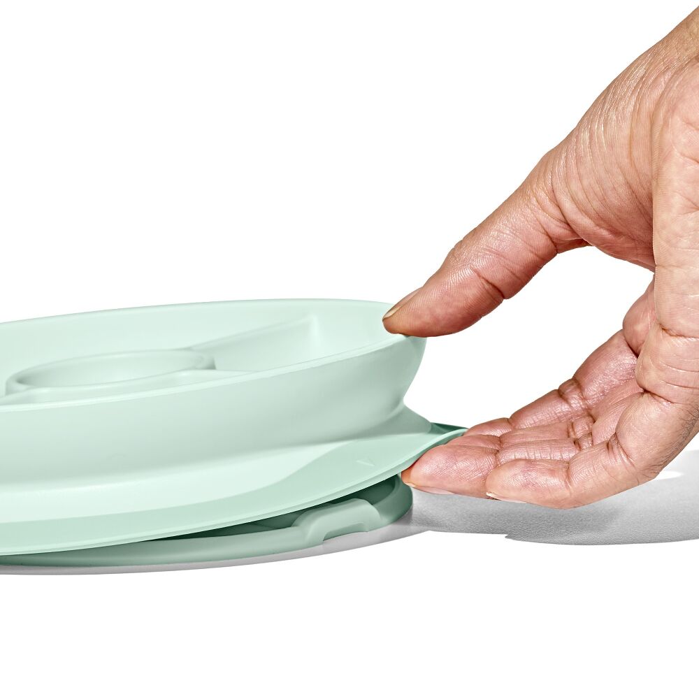 Stick & Stay Suction Divided Plate Z8